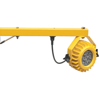 Heavy-Duty Loading Dock Lights, 24" Arm, 300 W, LED Lamp, Metal Canadian Safety Group Inc.