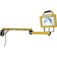 Heavy-Duty Dock Light, 40" Arm, 38 W, LED Lamp, Metal Canadian Safety Group Inc.
