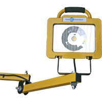 Heavy-Duty Dock Light, 40" Arm, 38 W, LED Lamp, Metal Canadian Safety Group Inc.
