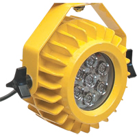 Heavy-Duty LED Dock Light - Head Only Canadian Safety Group Inc.