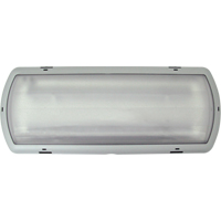 Luminaire de secours Tempesta, Plastique, DEL, 120 - 347 V Canadian Safety Group Inc.