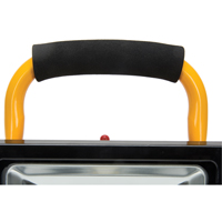 Projecteur portatif, DEL, 20 W, 2500 lumens, Boîtier en Aluminium Canadian Safety Group Inc.