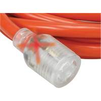 Rallonge pour g&eacute;n&eacute;ratrice &agrave; quatre prises, Ext&eacute;rieur, AWG 10, 30 A, 4 prise(s), 25' Canadian Safety Group Inc.