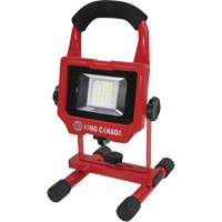 Baladeuse, DEL, 15 W, 1500 lumens, Boîtier en Aluminium Canadian Safety Group Inc.
