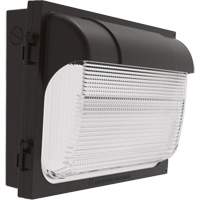 Applique murale TWX, DEL, 480 V, 9 W - 54 W, 14" ha x 18" la x 5" p Canadian Safety Group Inc.