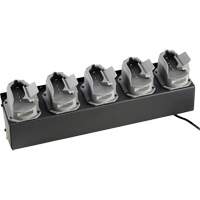 Chargeur de batteries de lampe de poche Survivor X Canadian Safety Group Inc.