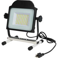 Projecteur, DEL, 100 W, 10000 lumens Canadian Safety Group Inc.
