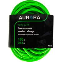 Cordon rallonge de calibre industriel, Toutes saisons, SJTW, AWG 10/3, 15 A, 100' Canadian Safety Group Inc.