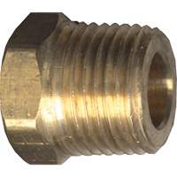 Bouchon creux &agrave; t&ecirc;te hexagonale, Tuyau, 1/8" dia., Laiton Canadian Safety Group Inc.