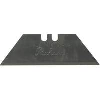Replacement Blade, Single Style Canadian Safety Group Inc.