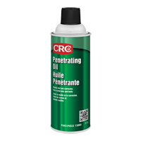 Penetrating Oil, Aerosol Can, 312 g Canadian Safety Group Inc.